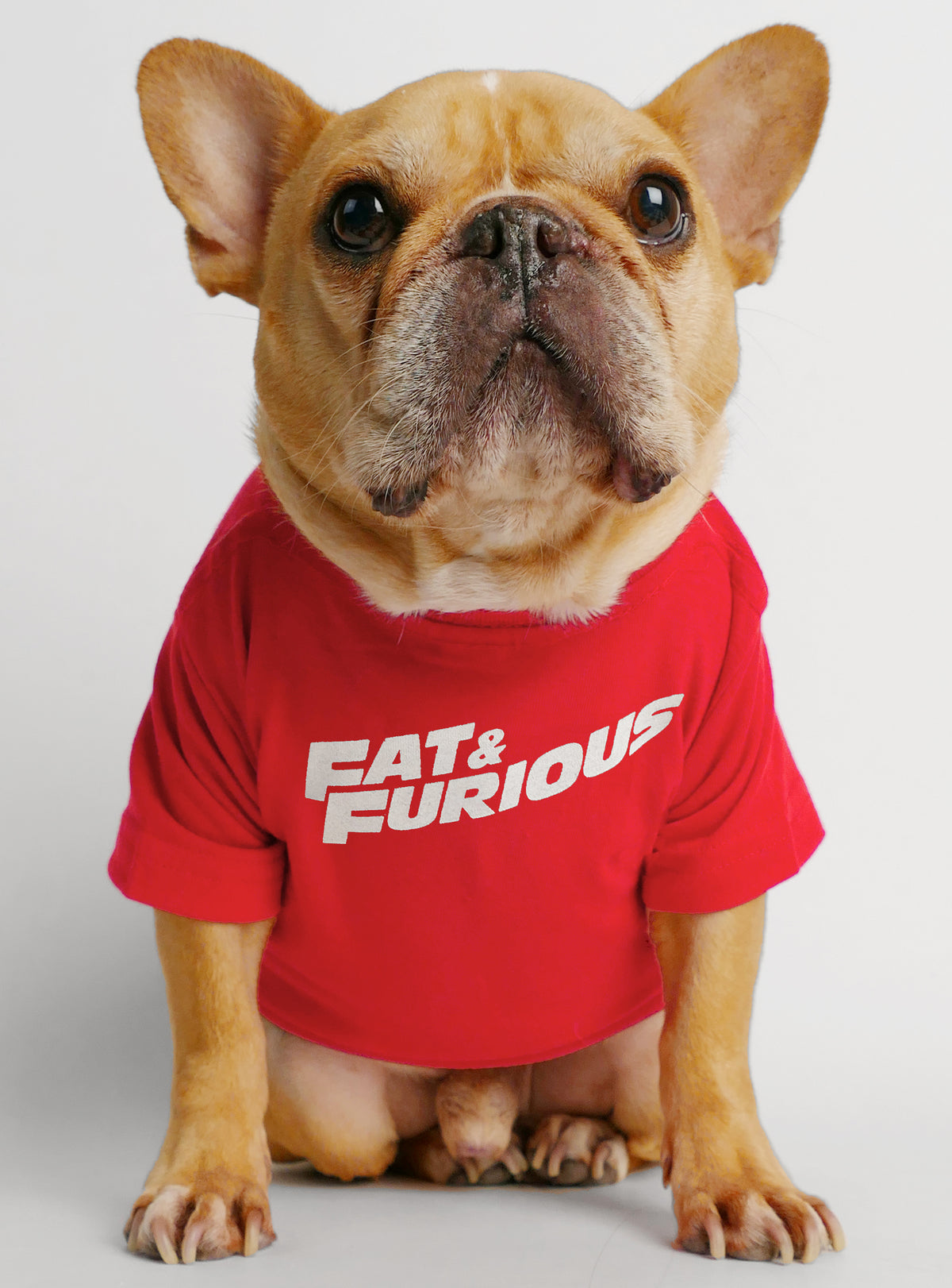Fat &amp; Furious Dog Tee