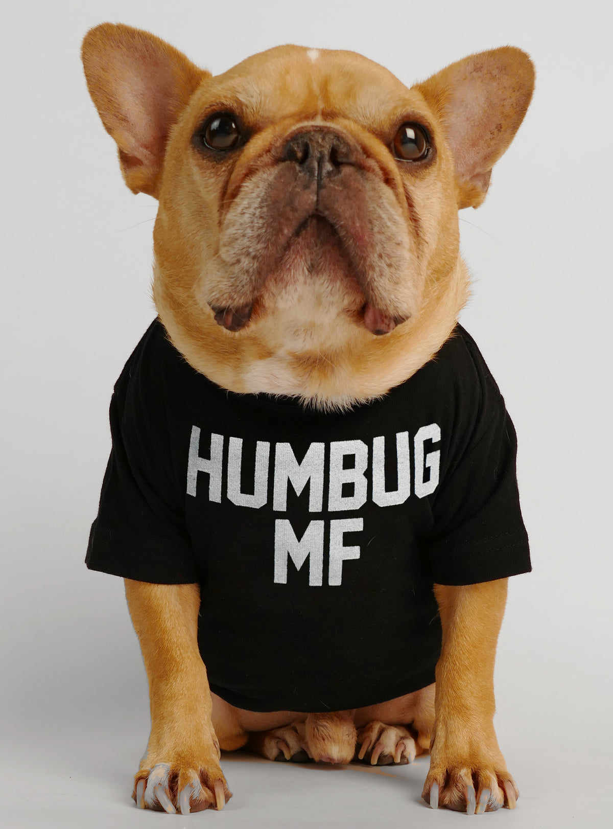 Humbug MF Dog Tee