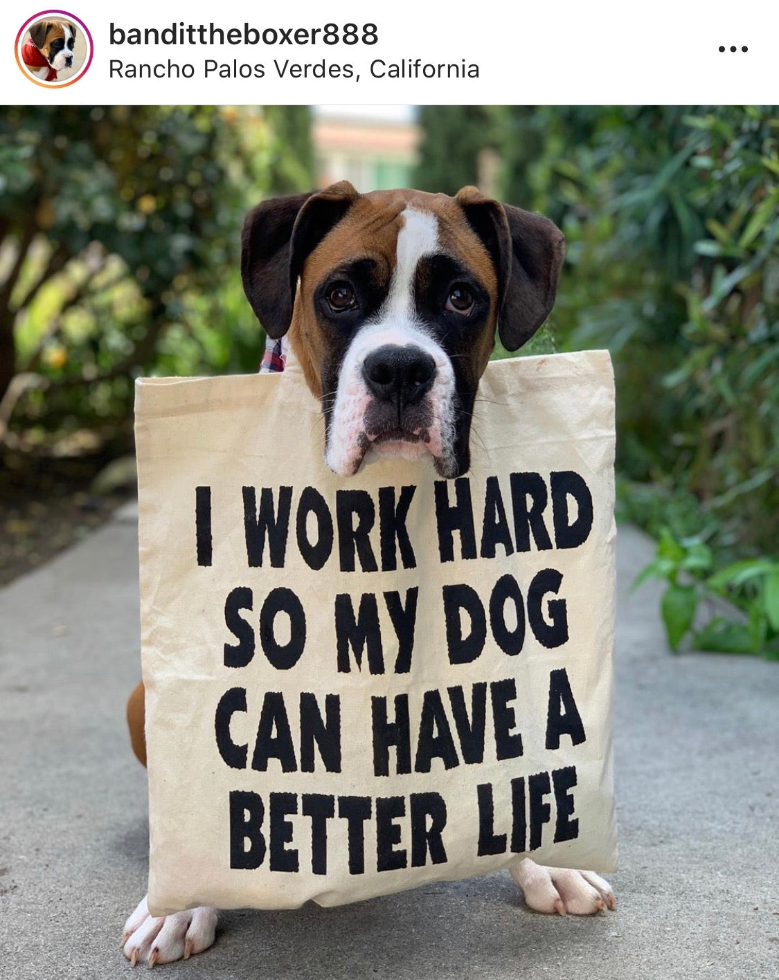 Better Life Tote Bag