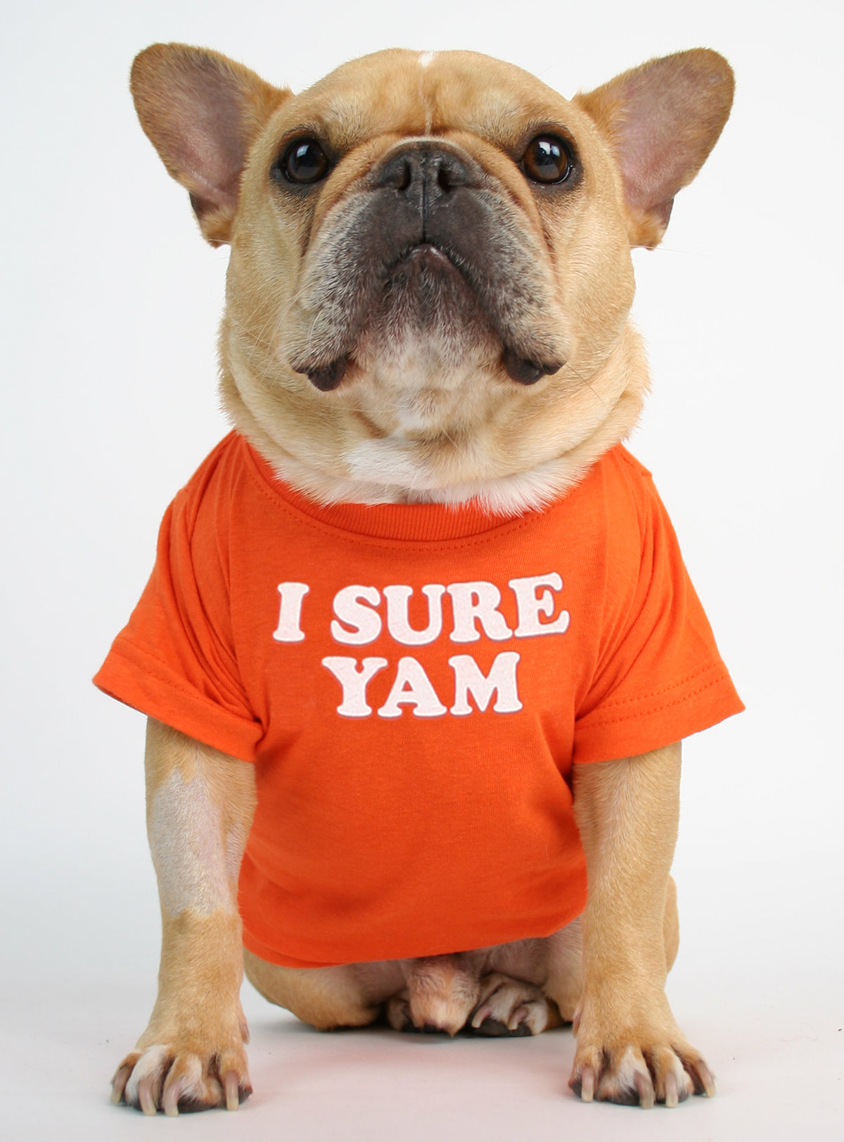I Sure Yam Dog Tee