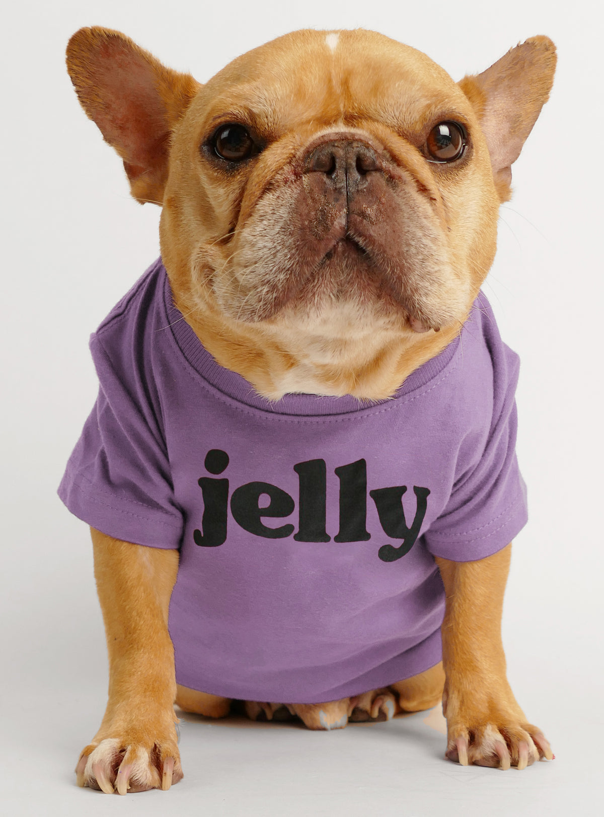 Jelly Dog Tee