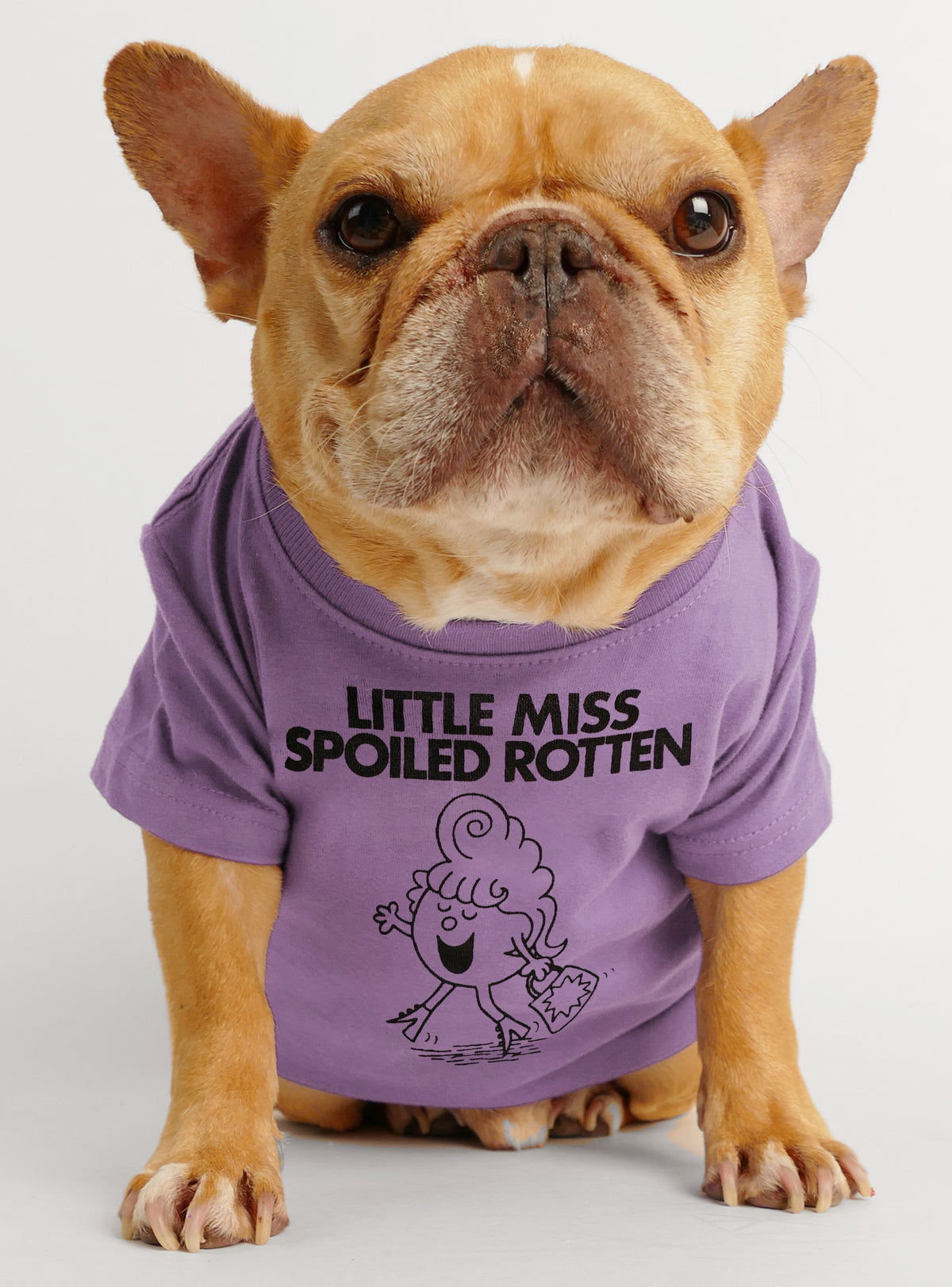 Little Miss Spoiled Rotten Dog Tee