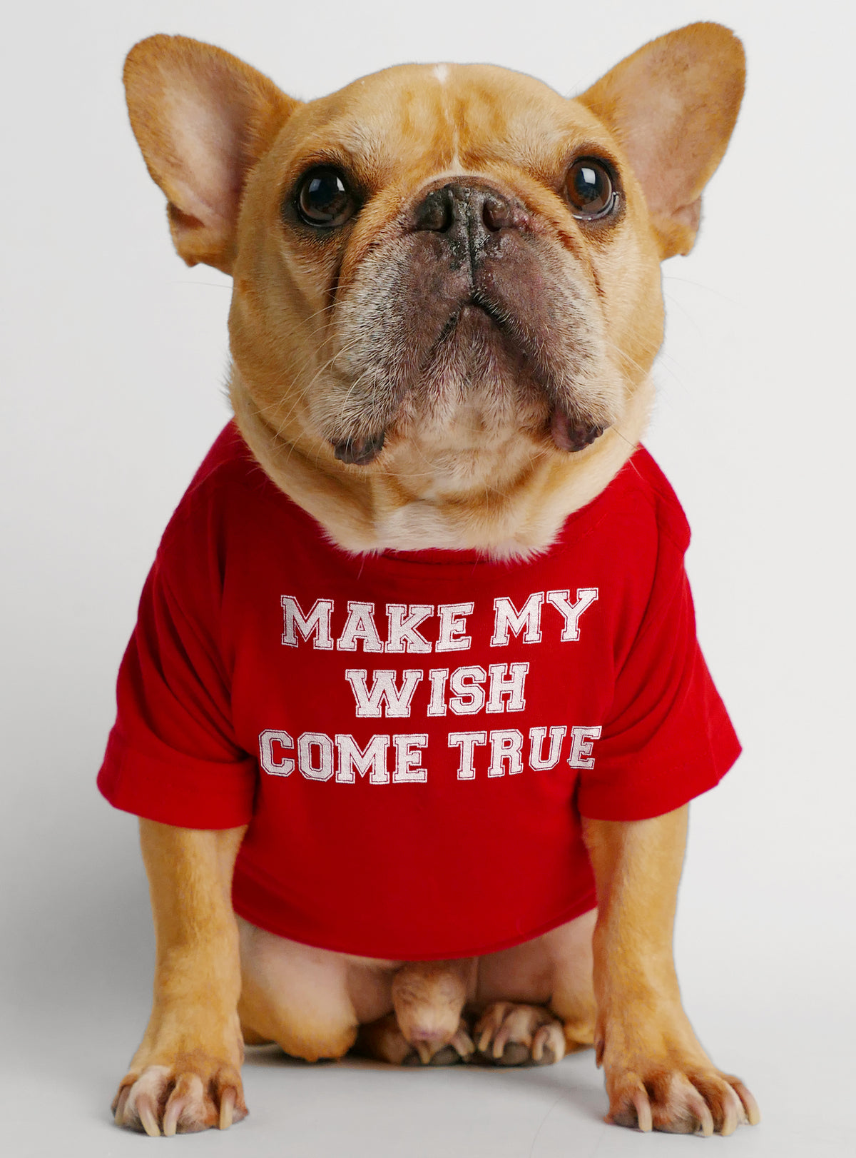 Make My Wish Come True Dog Tee