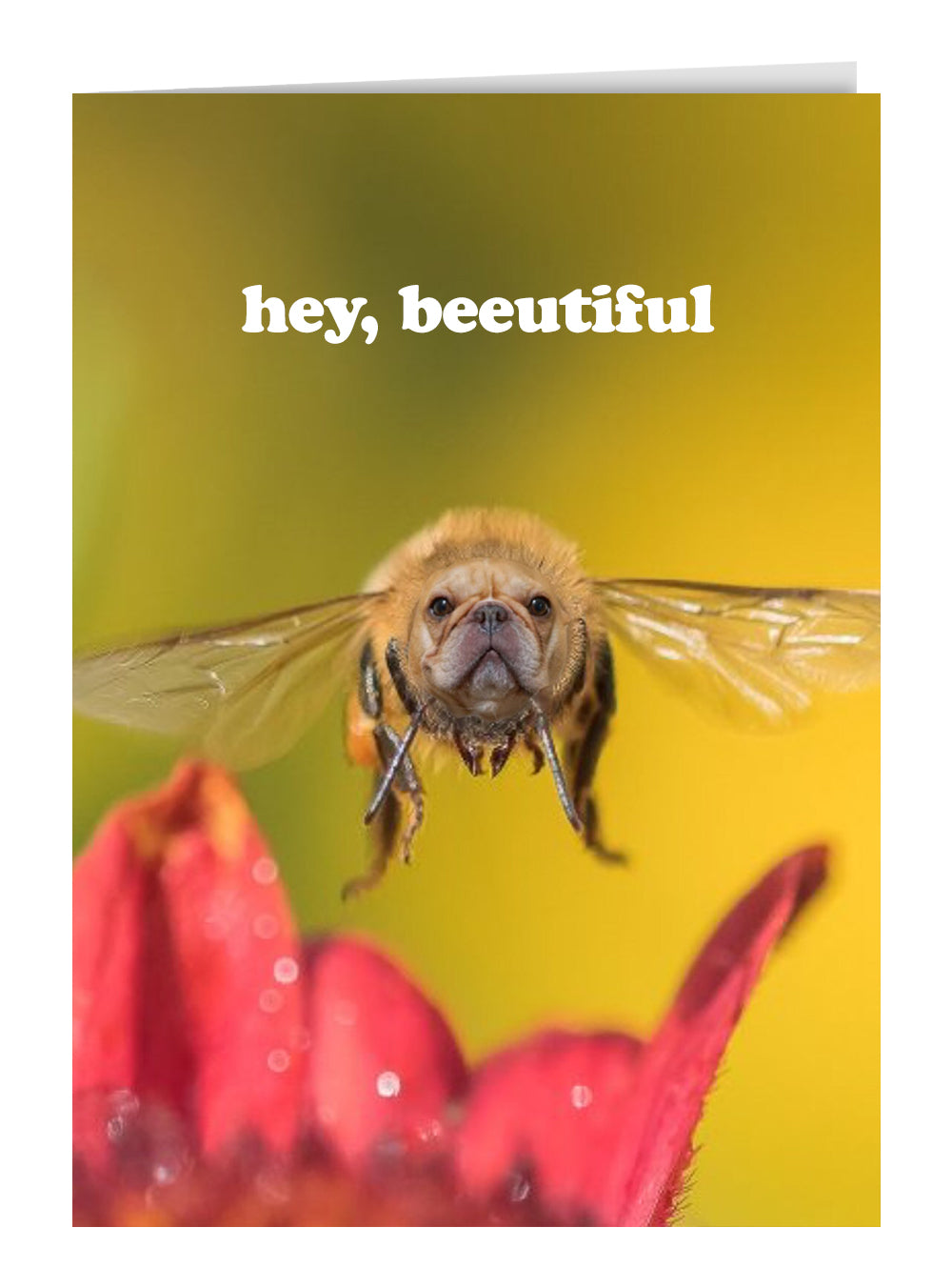 Hey Beeutiful Greeting Card