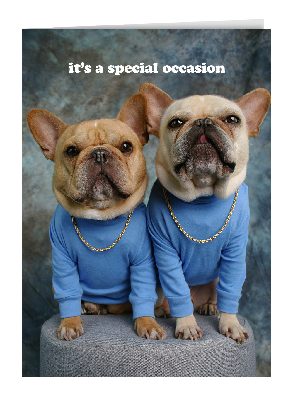It&#39;s A Special Occasion Greeting Card