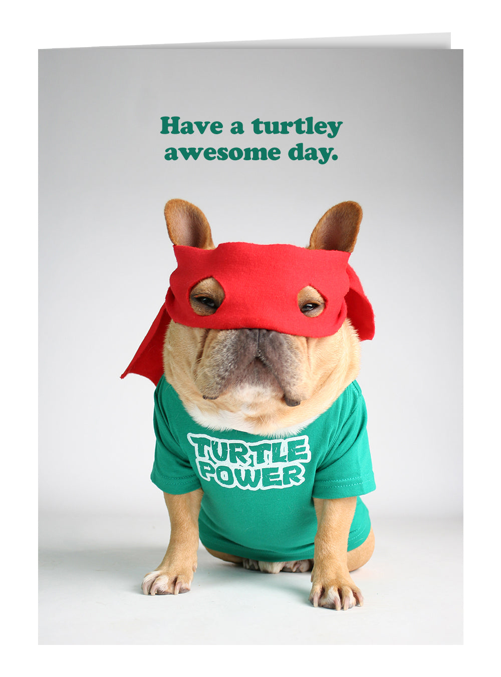 Have A Turtley Awesome Day Greeting Card
