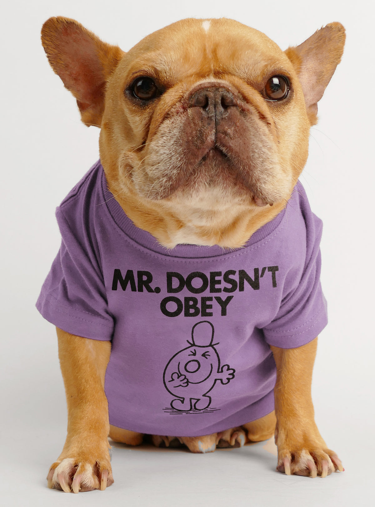 Mr. Doesn&#39;t Obey Dog Tee