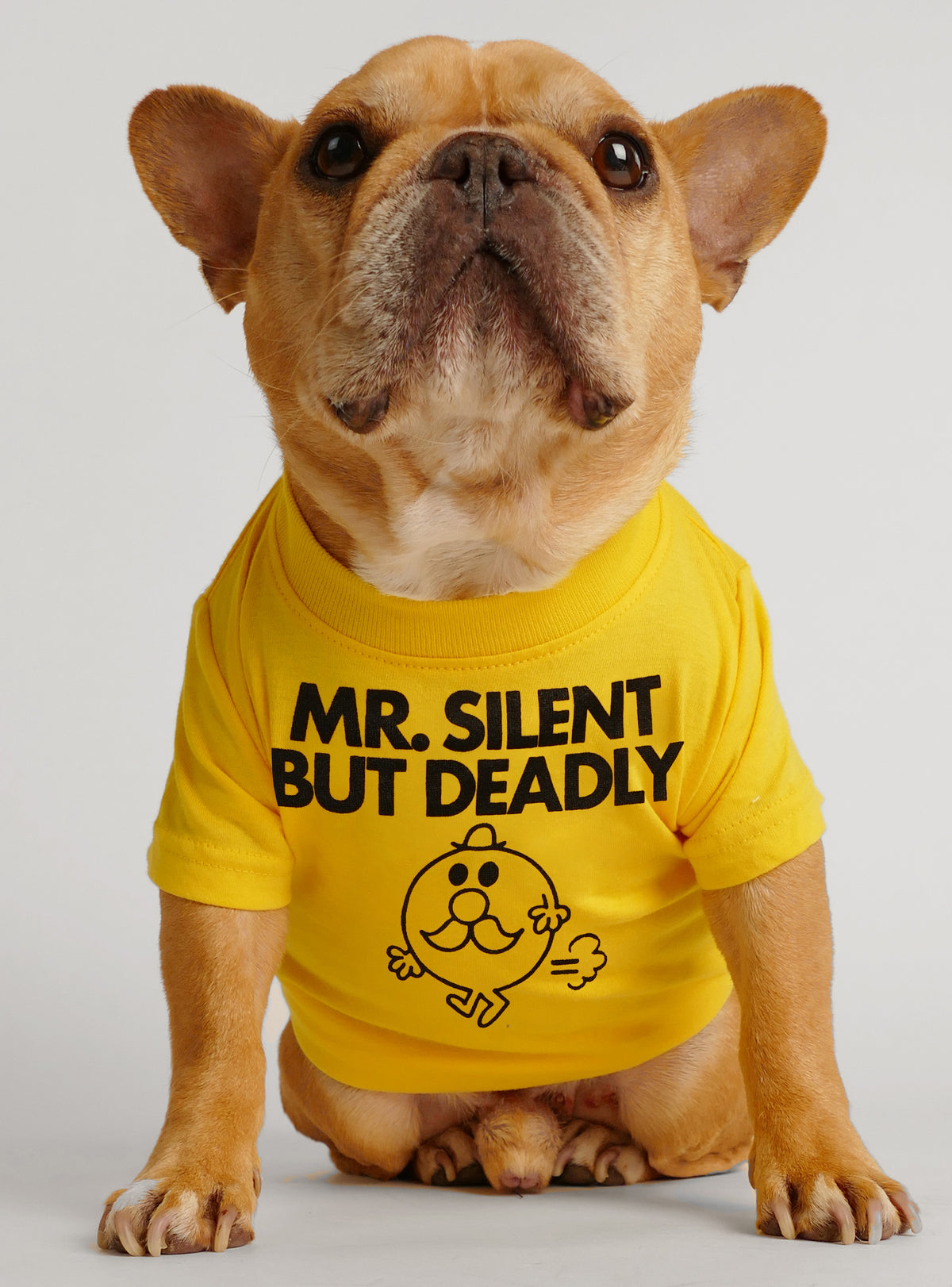 Mr. Silent But Deadly Dog Tee