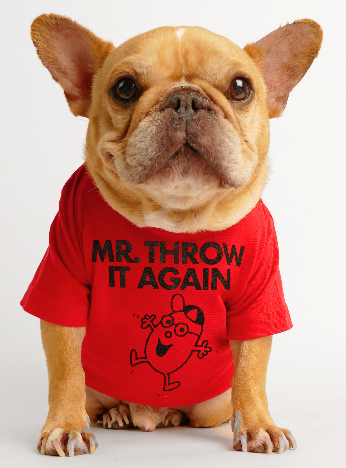 Mr. Throw It Again Dog Tee