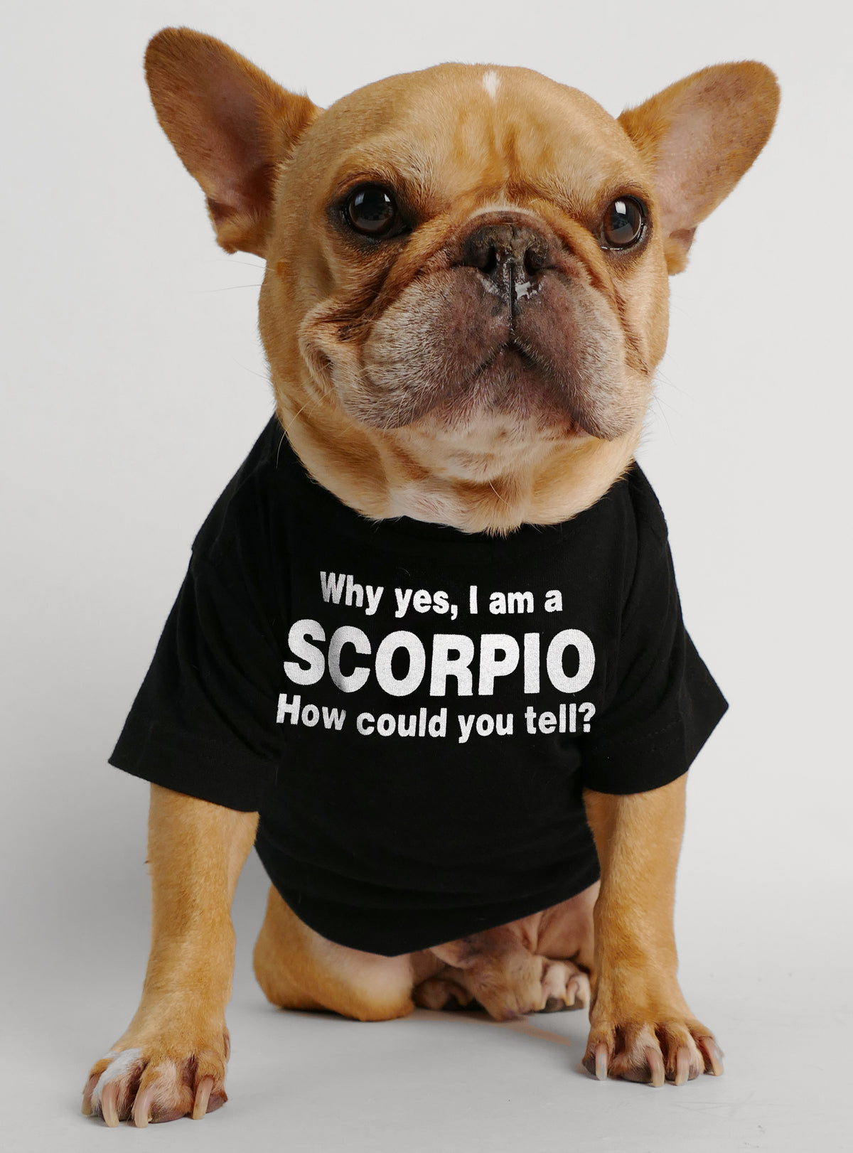 Scorpio Dog Tee