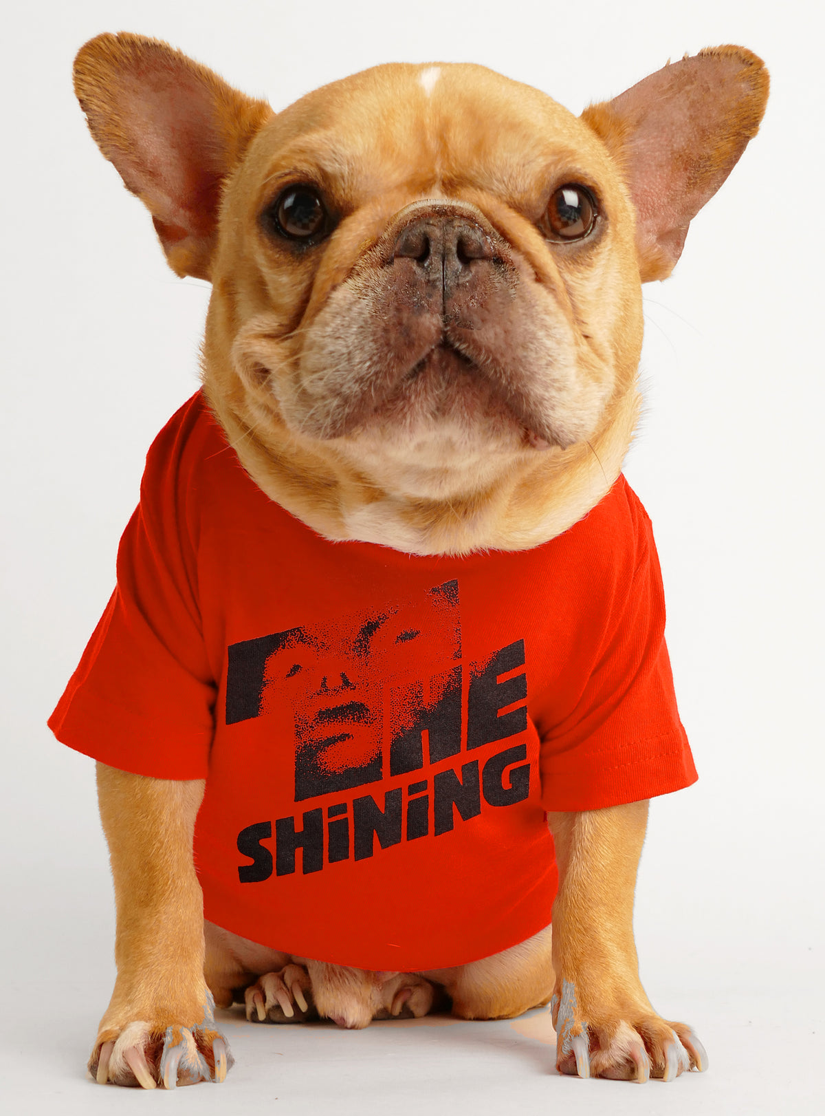 The Shining Dog Tee
