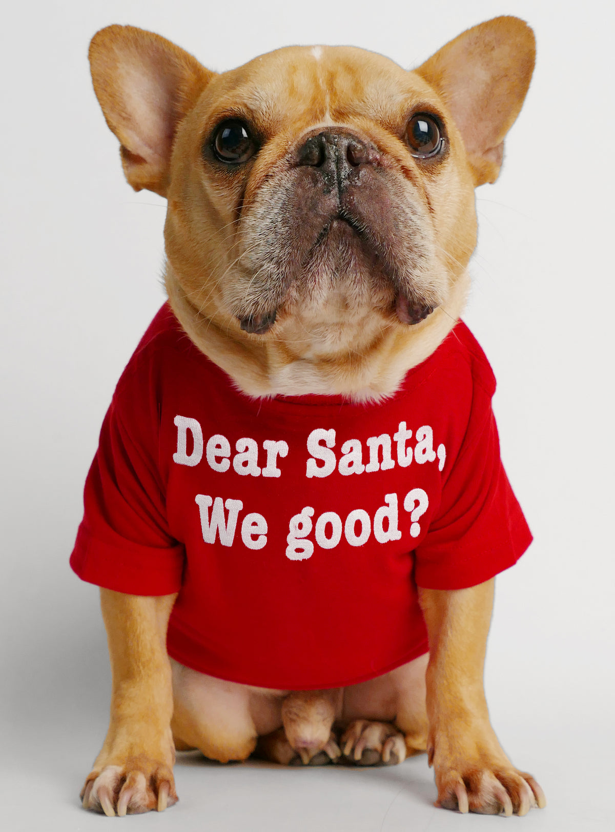 Dear Santa, We Good? Dog Tee